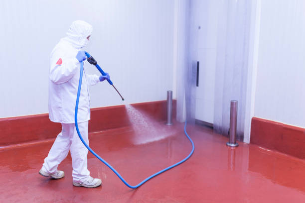 Best Building Exterior Washing  in Houghton, MI