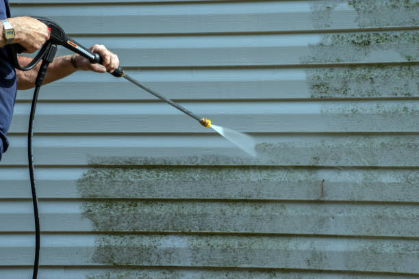 Best Patio and Deck Pressure Washing  in Houghton, MI